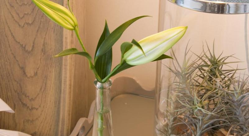 Plettenberg Park Hotel & Spa Plettenberg Bay Bagian luar foto